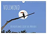 Vollmond: Wundersames Licht des Mondes (Wandkalender 2023 DIN A4 quer), Calvendo Monatskalender