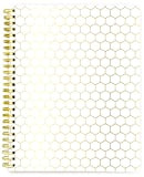 'Webster pagine spirale Ntbk – oro a nido d' ape foderato (SB004)
