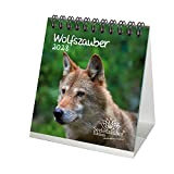 Wolfszauber - Calendario da tavolo 2023, 10 x 10 cm, lupo e lupi