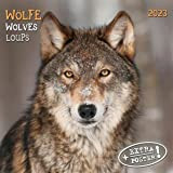 Wolves/Lupi 2023: calendario 2023