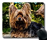 Yanteng Tappetino mouse per mouse per mac e windows gamer Cane Yorkshire Terrier Cane piccolo per donna/uomo / bambino venduto