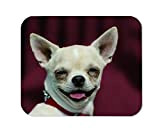 Yeuss Divertente Cane Memes Tappetino Per Mouse Del Mouse Rettangolare Antiscivolo, Testa Di Chihuahua Cane Ritratto A Pelo Corto Sfondo ...