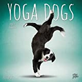 Yoga Dogs Ufficiale | Calendario da parete quadrato mensile 2023 30 x 50 cm | Foglio adesivo | StarGifts | ...