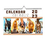Zceplem Cat Butthole Calendar 2023, Funny Calendar 2023, 12 Mesi Cat Balls Calendar con Spazio per Le Note, Funny Cat ...